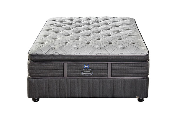 sealy turnberry bed